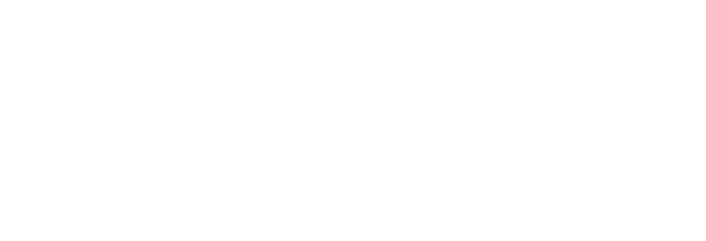 Panex WD International – 泛鼎国际